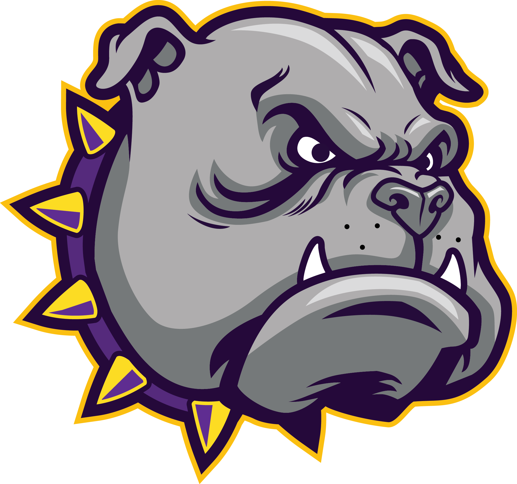 District Logo